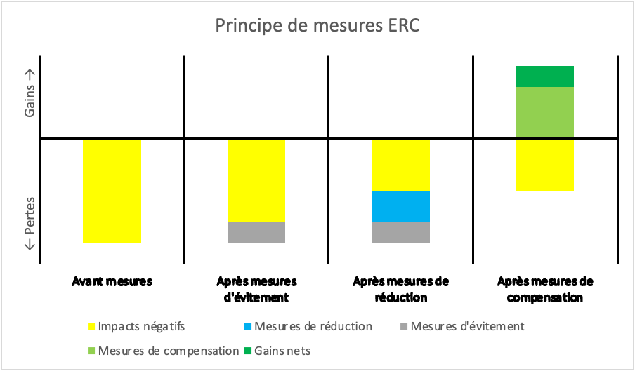 Schéma explicatif du principe ERC (évitement, réduction, compensation)